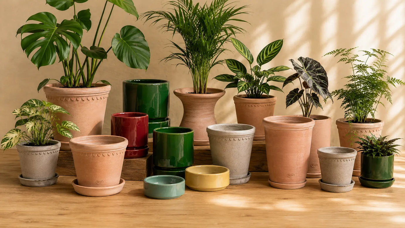Bergs Potter Collection
