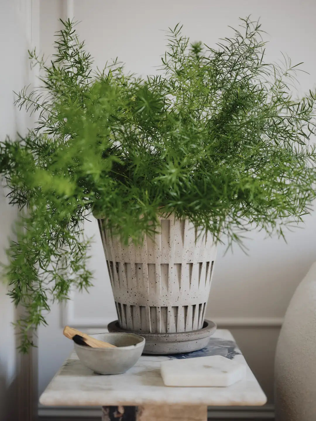 Bergs Potter Pantheon Terracotta Pot