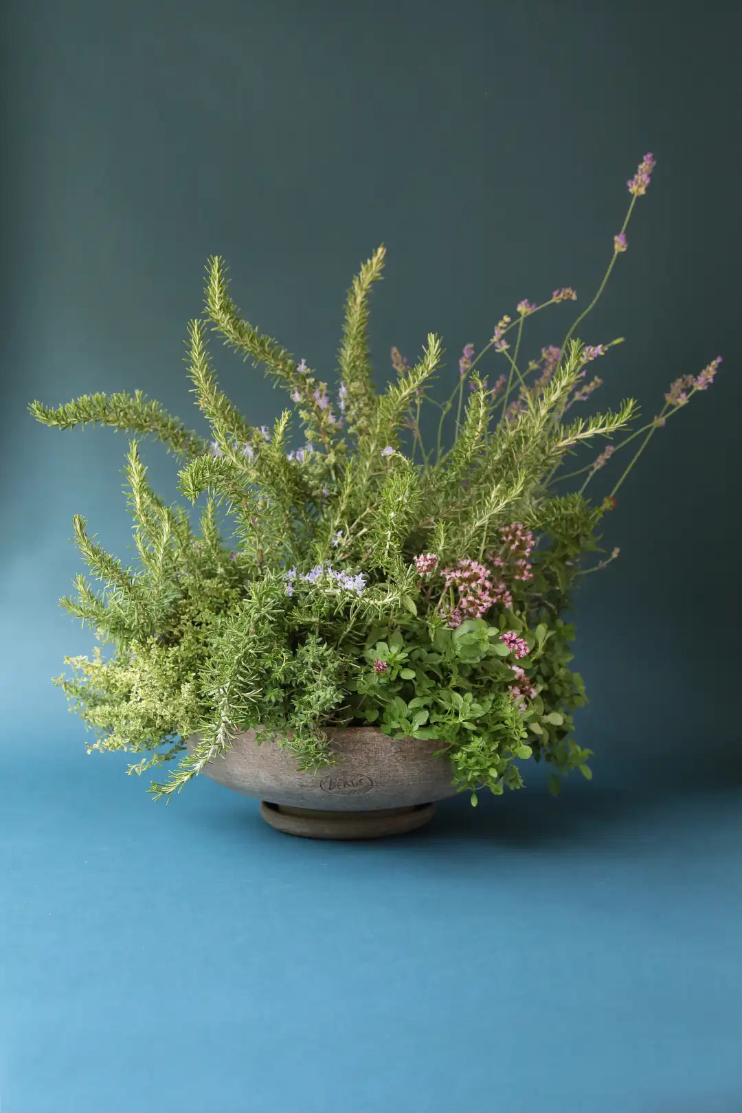 Bergs Potter Ada Terracotta Bowl