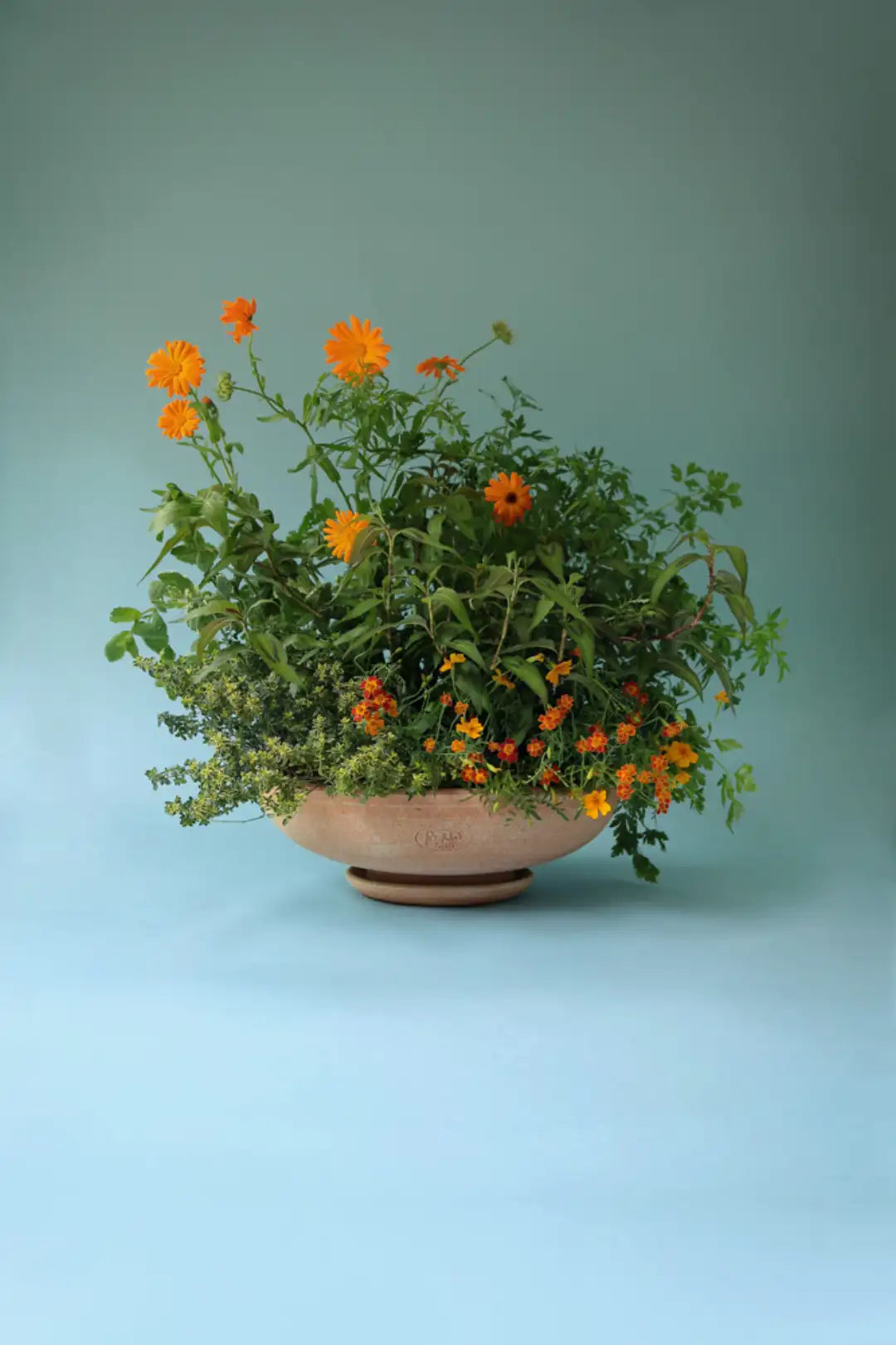 Bergs Potter Ada Terracotta Bowl