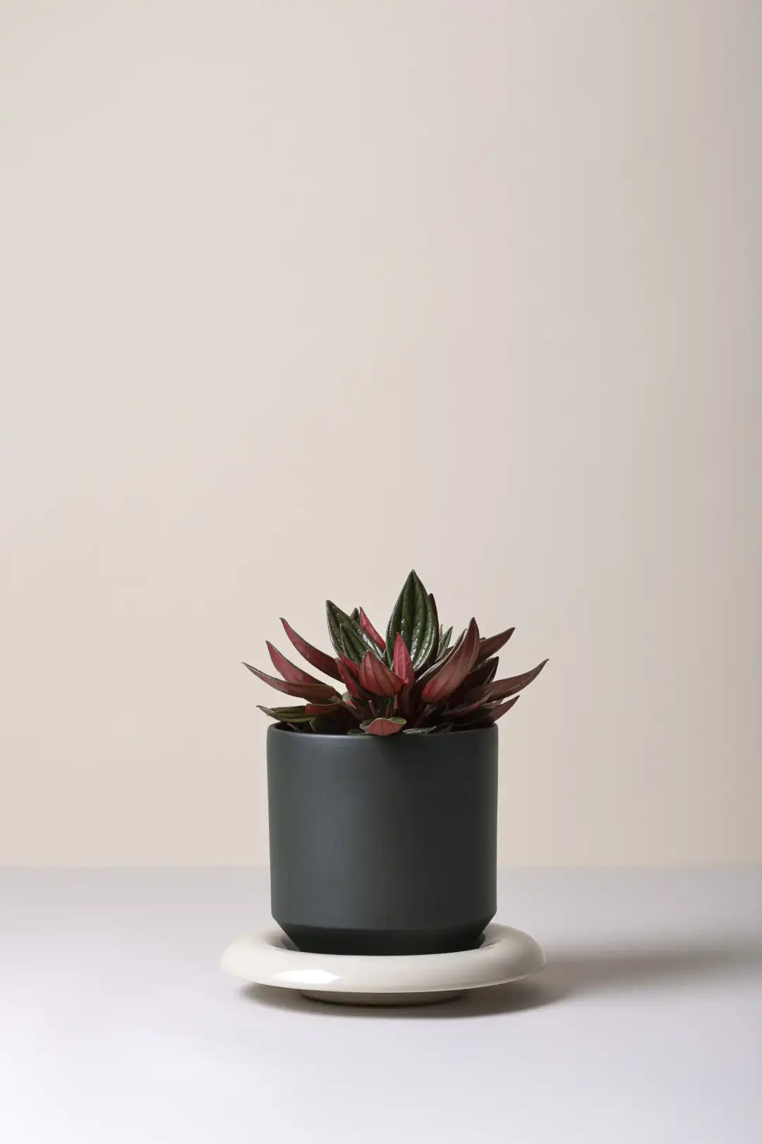 Bergs Potter Lily Glazed Pot