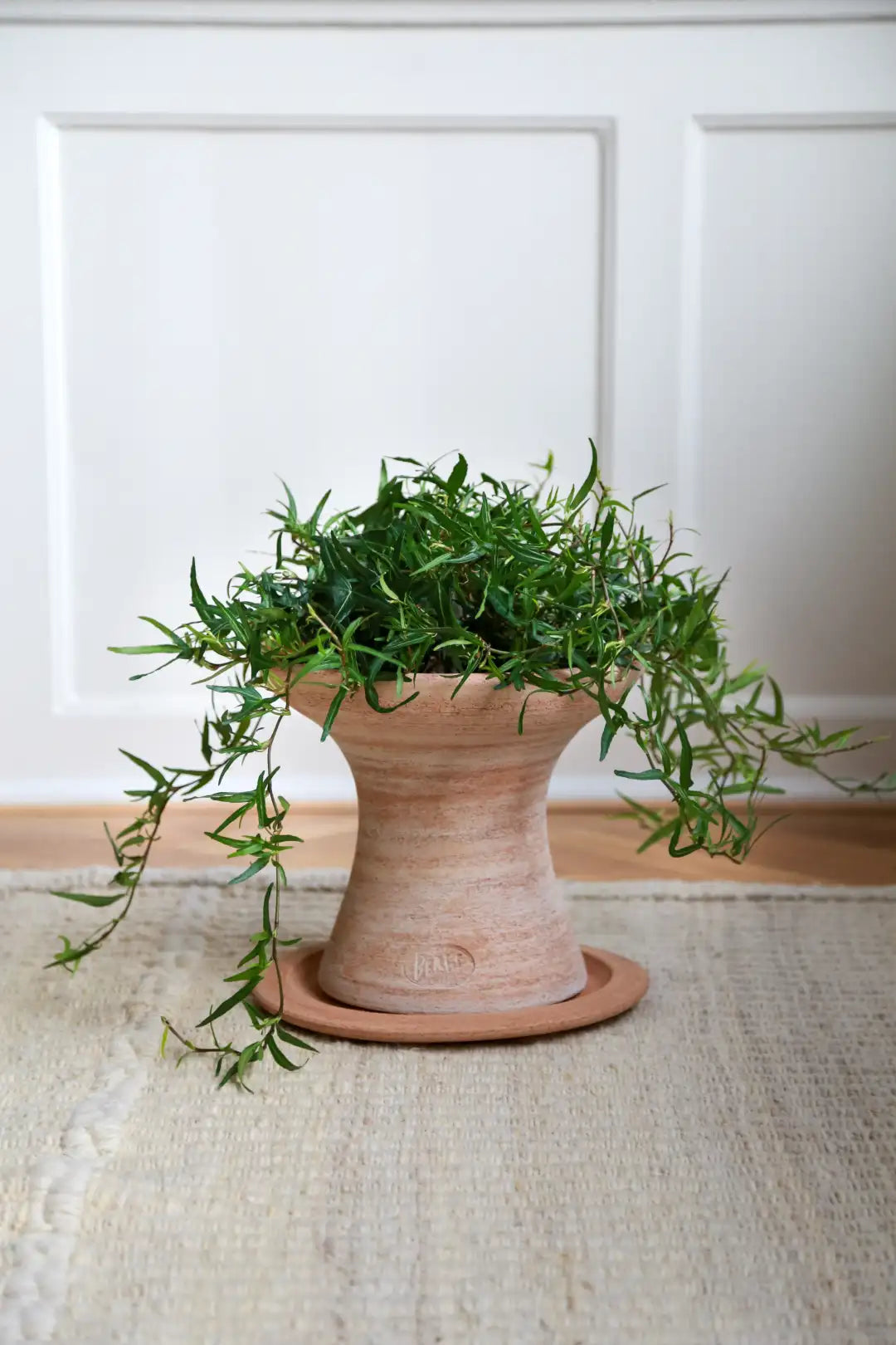 Bergs Potter Celeste Terracotta Pot