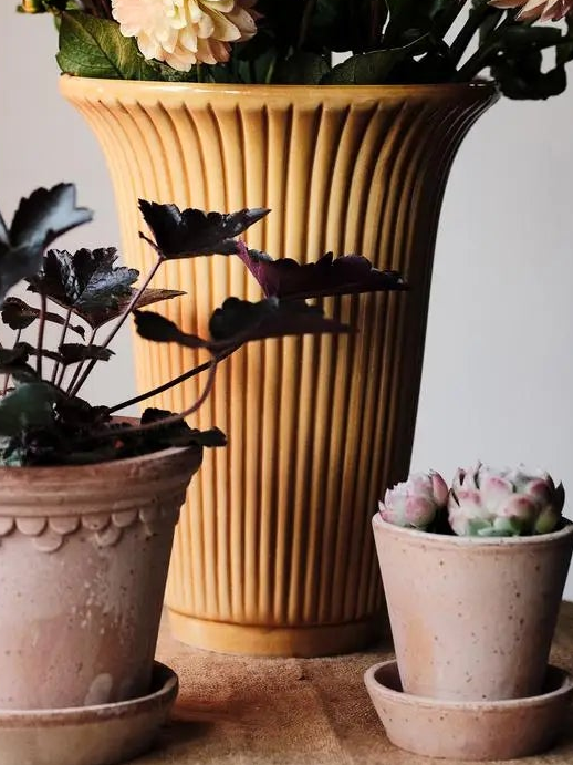 Bergs Potter Daisy Glazed Vase