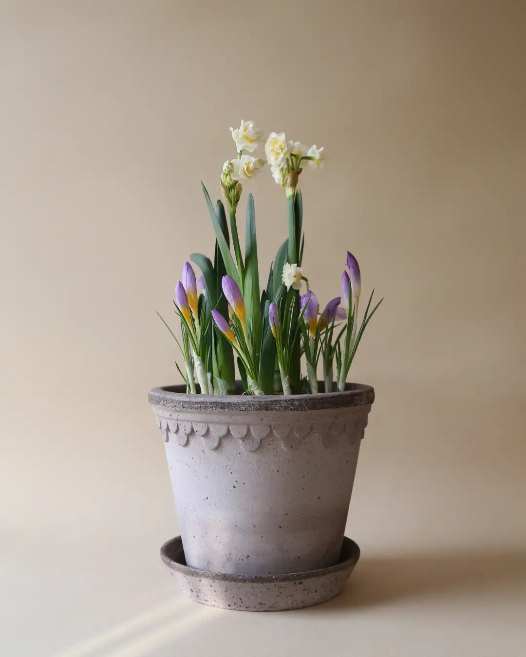 Bergs Potter Københavner 3-Pack Gift Box