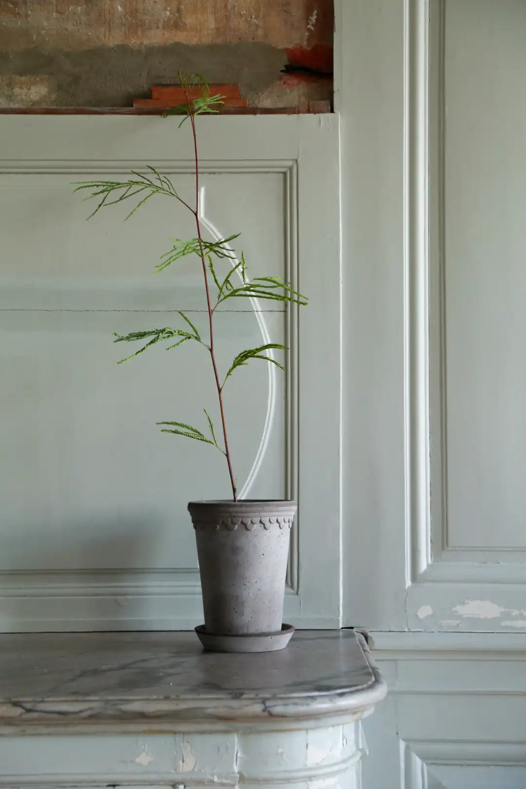 Bergs Potter Københavner Terracotta Tall Pot