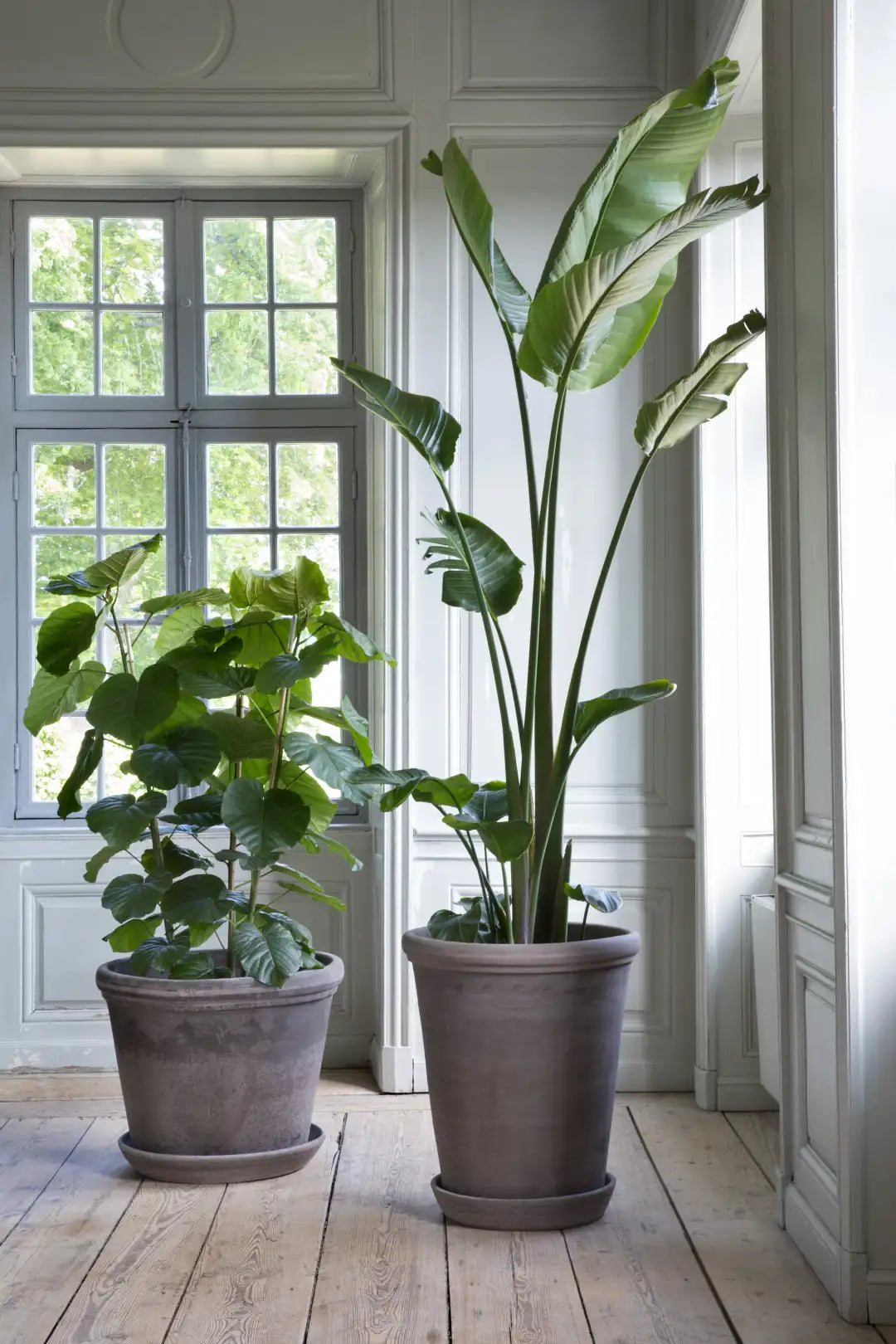 Bergs Potter Large Flora Terracotta Pot