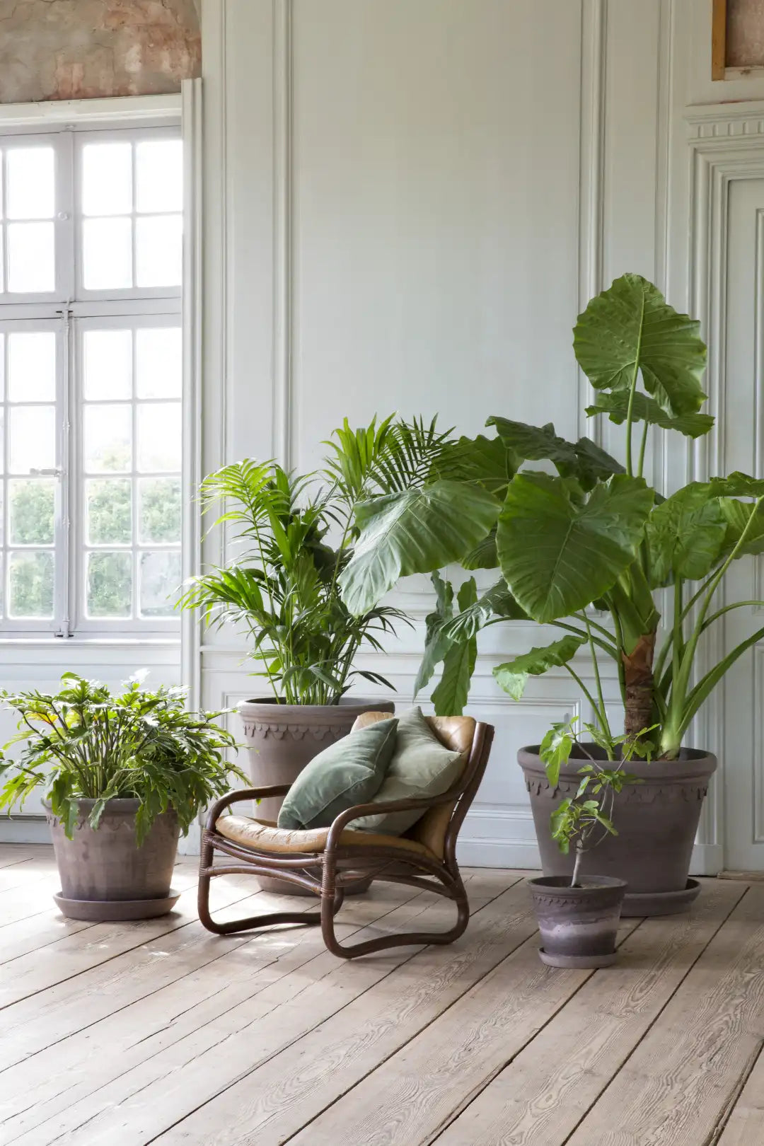 Bergs Potter Large Københavner Terracotta Pot