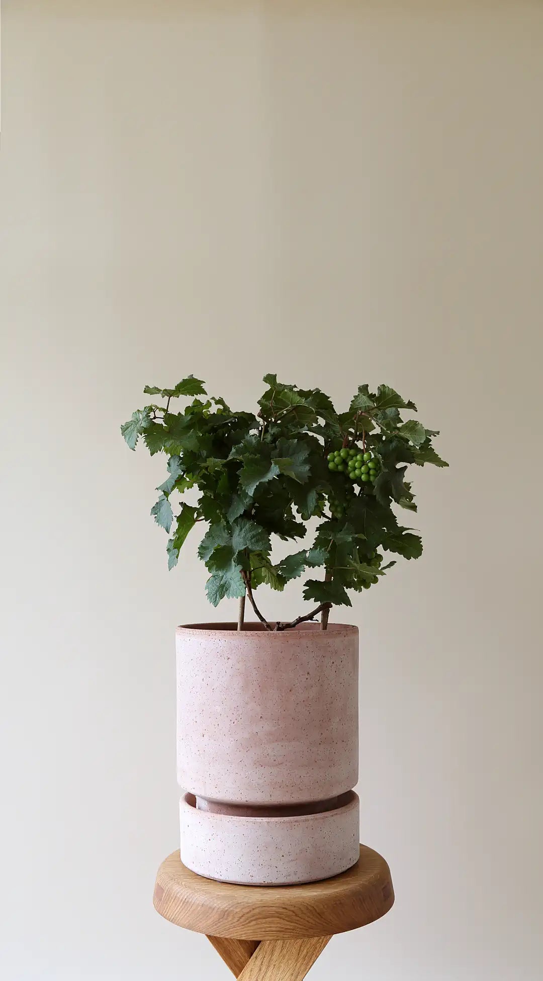 Bergs Potter Hoff Terracotta Pot