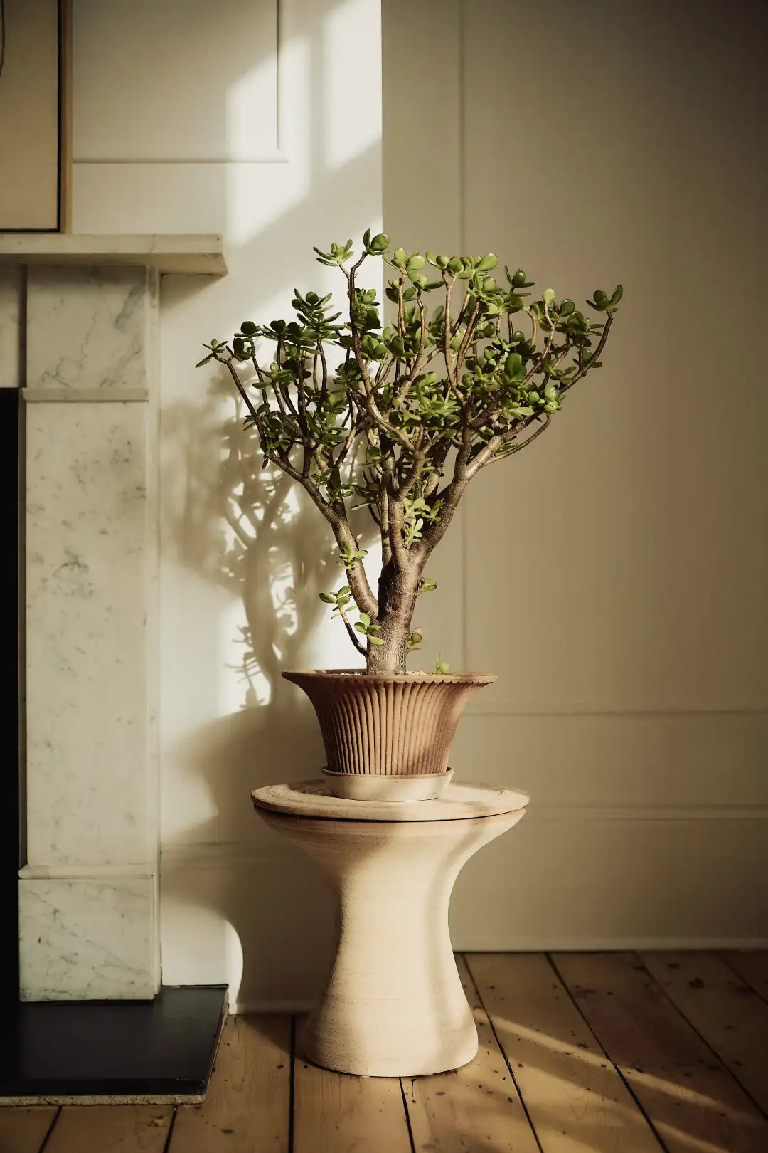 Bergs Potter Celeste Terracotta Pot