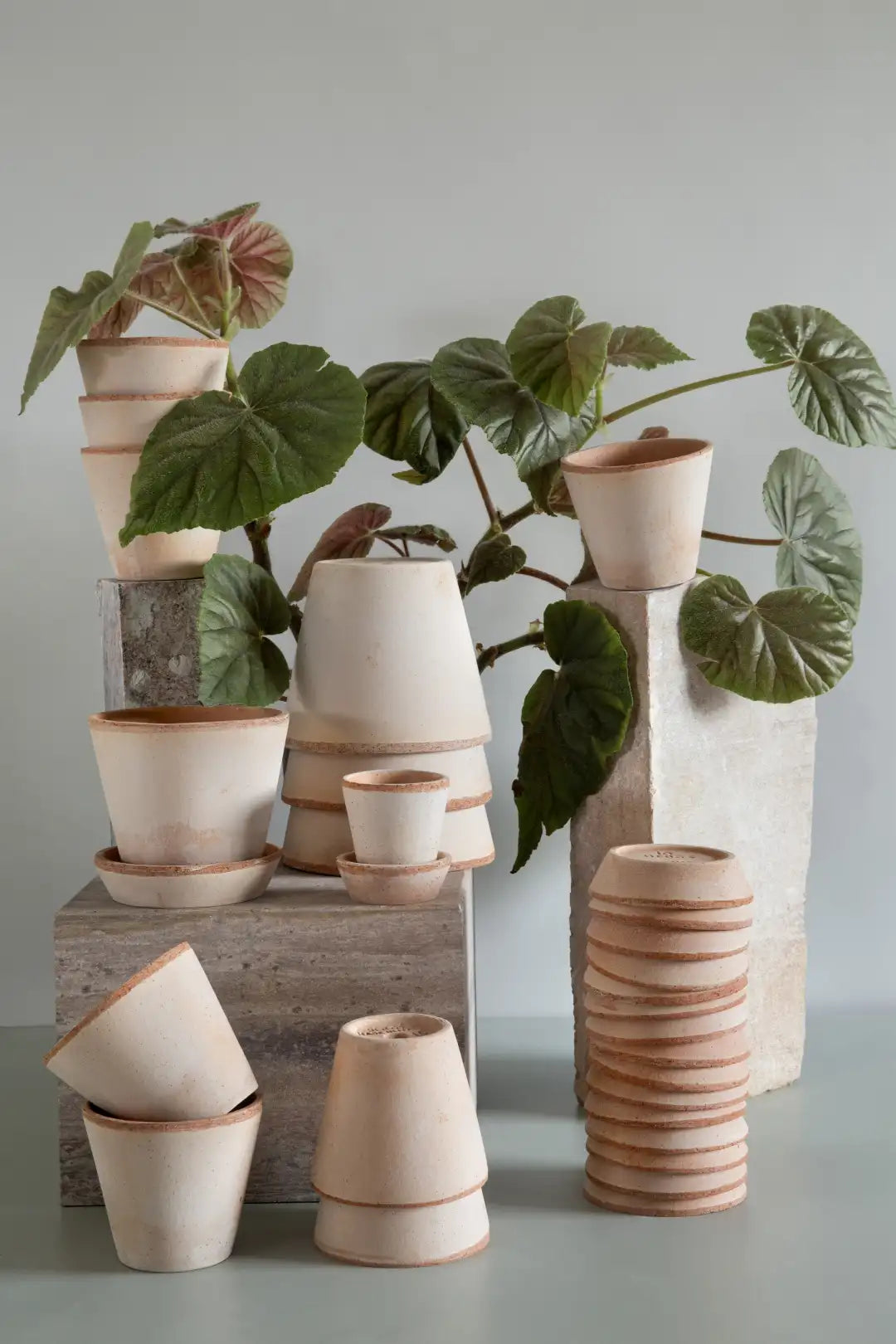 Bergs Potter Julie Terracotta Rustic Pot