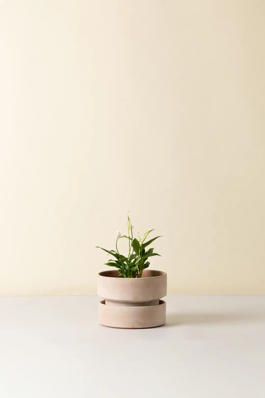 Bergs Potter Hoff Terracotta Pot