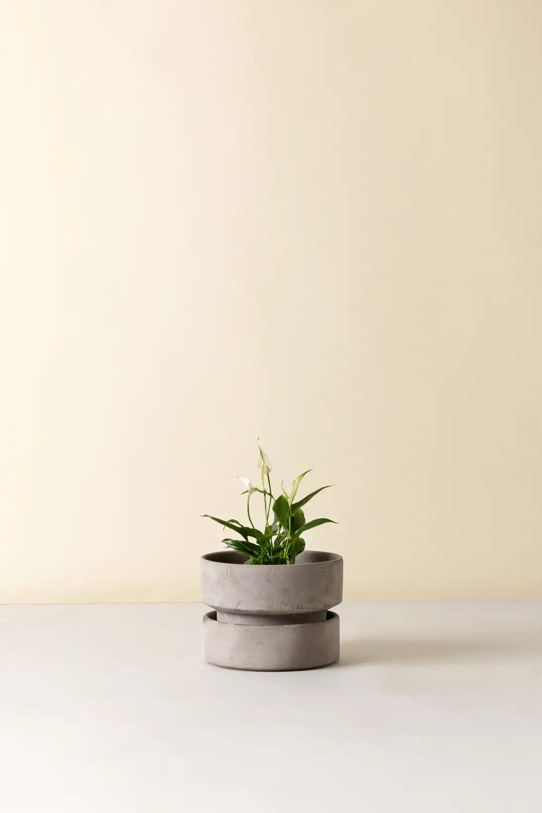 Bergs Potter Hoff Terracotta Pot
