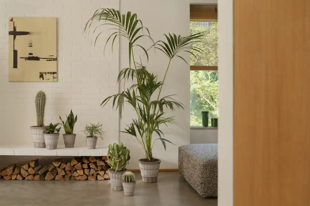 Bergs Potter Atlas Terracotta Pot