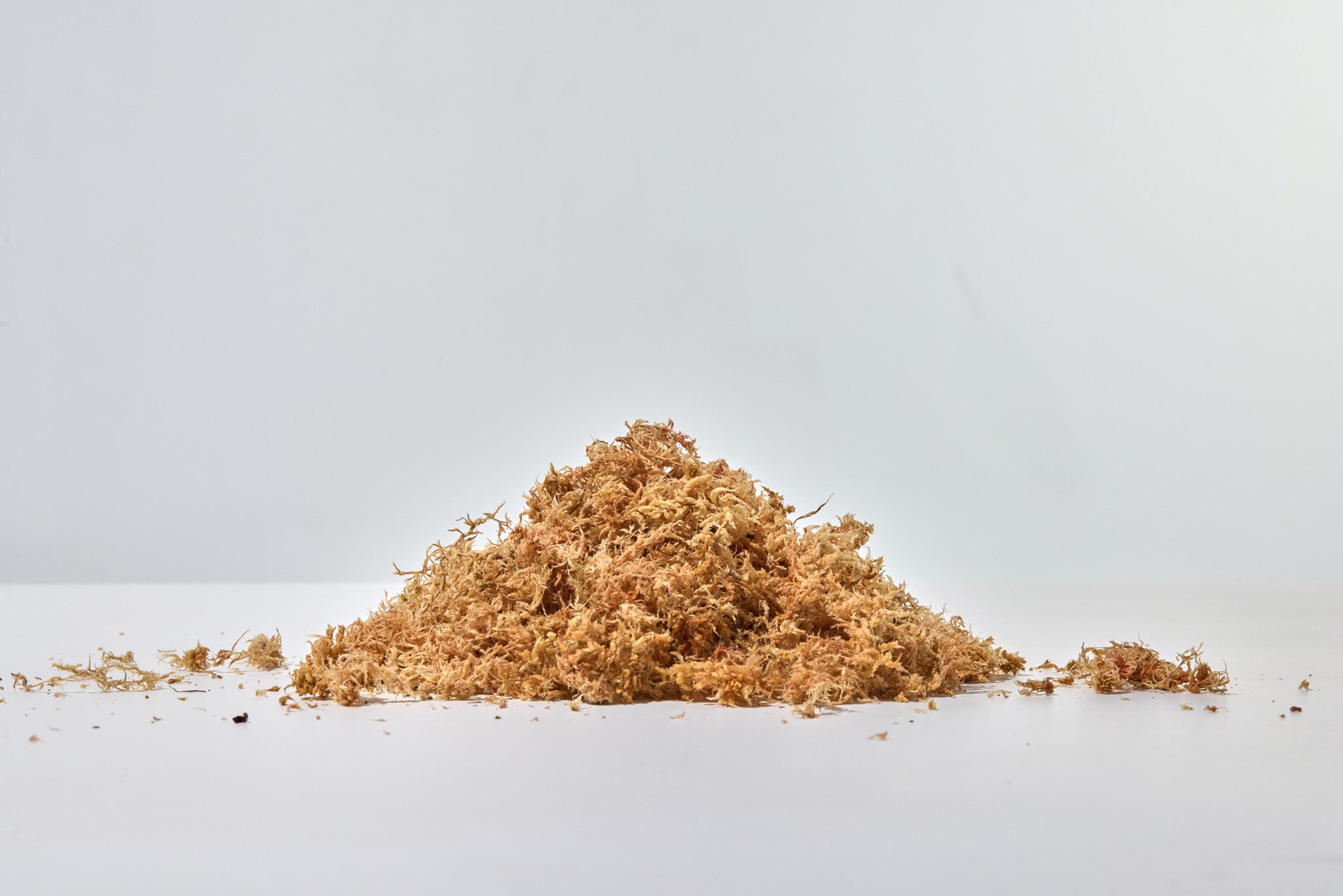 Besgrow Spagmoss Premium New Zealand Sphagnum Moss