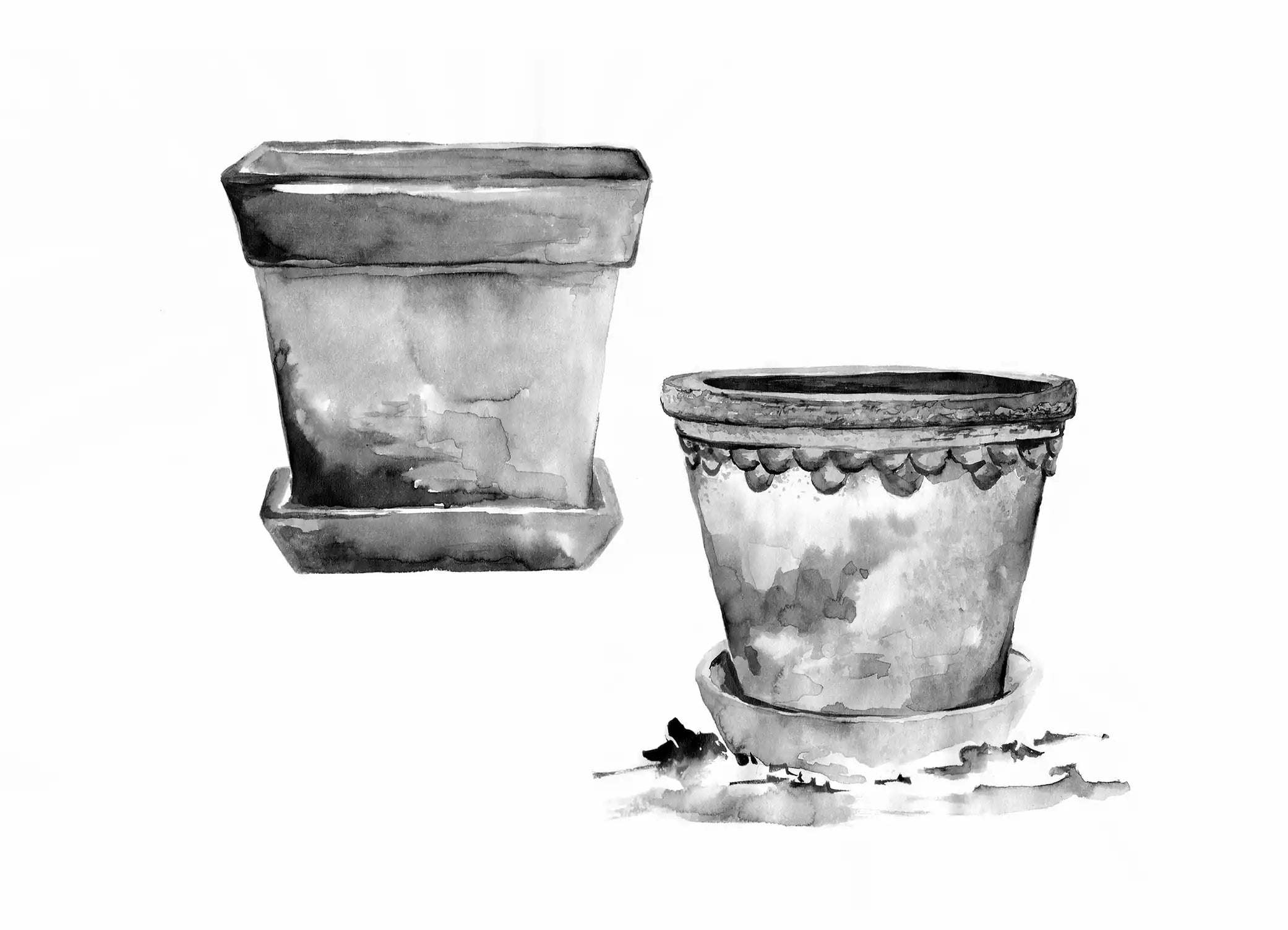 Black and white watercolor painting of ceramic planters on a white background