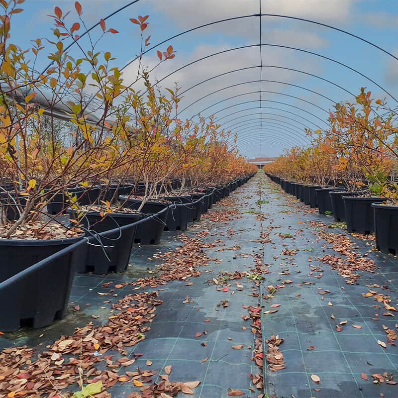 Pasquini & Bini Eracle Anti-Spiral Container