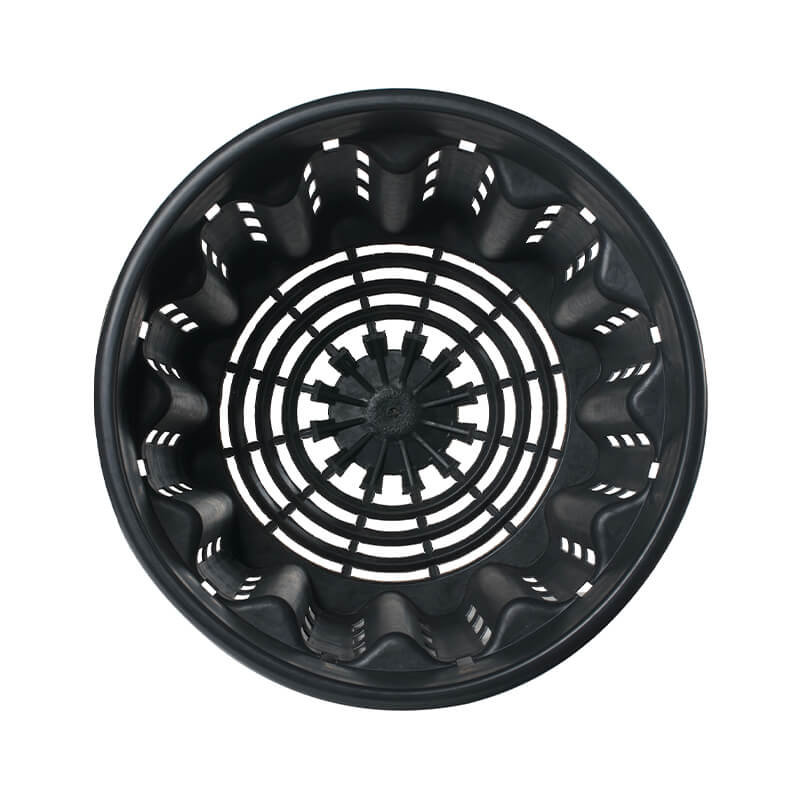 Pasquini & Bini Super Ercole Advanced Air-Pruning Container