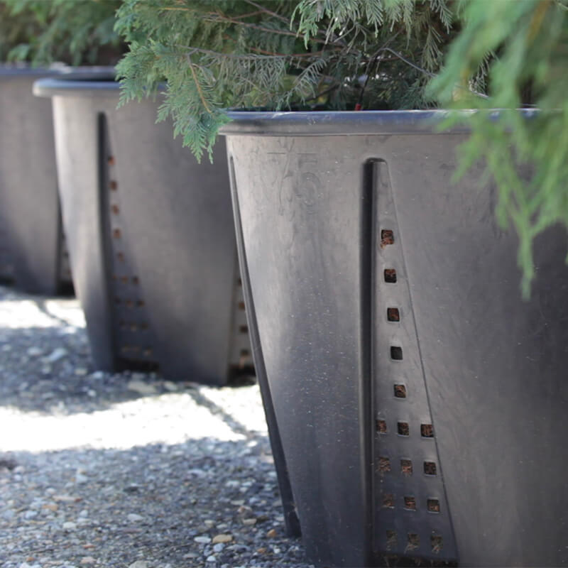 Row of gray planters with green plants on a gravel surface