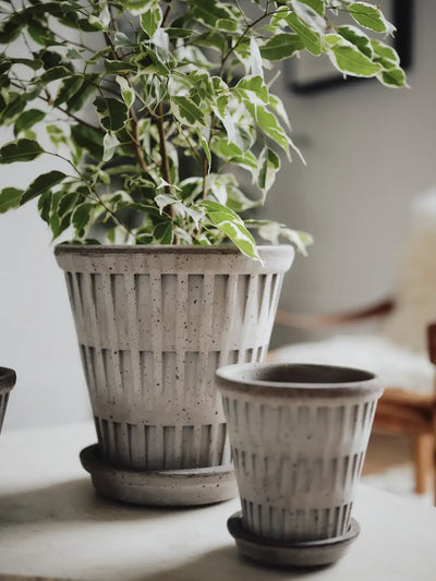 Bergs Potter Pantheon Terracotta Pot