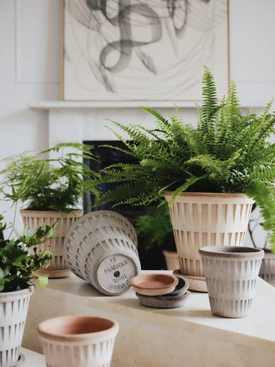 Bergs Potter Pantheon Terracotta Pot