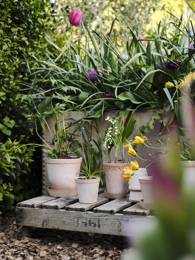 Bergs Potter Københavner Terracotta Tall Pot