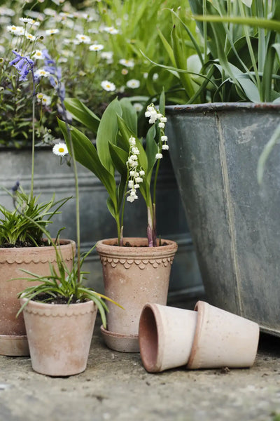 Bergs Potter Københavner Terracotta Tall Pot