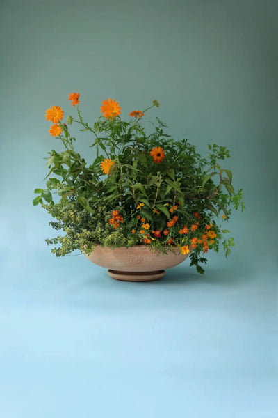 Bergs Potter Ada Terracotta Bowl