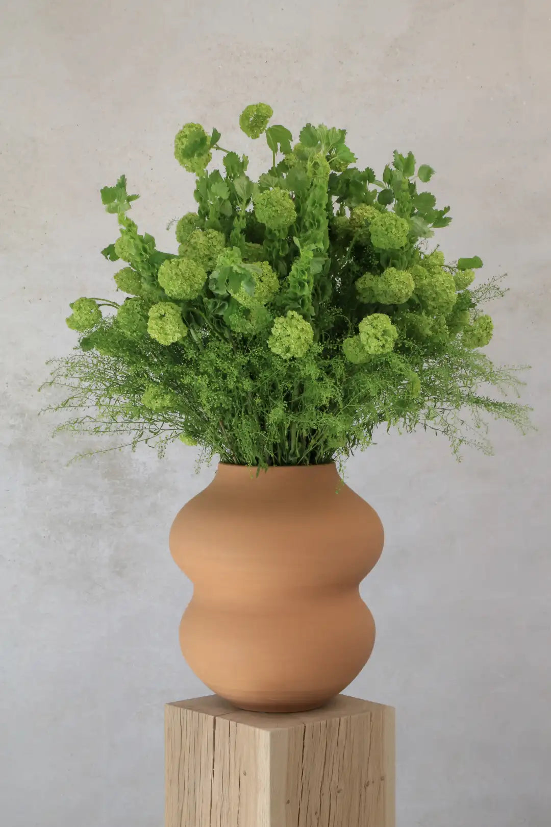 Bergs Potter Belle Terracotta Vase
