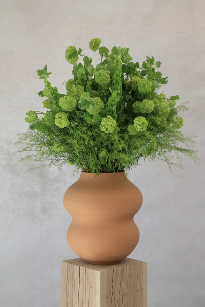 Bergs Potter Belle Terracotta Vase