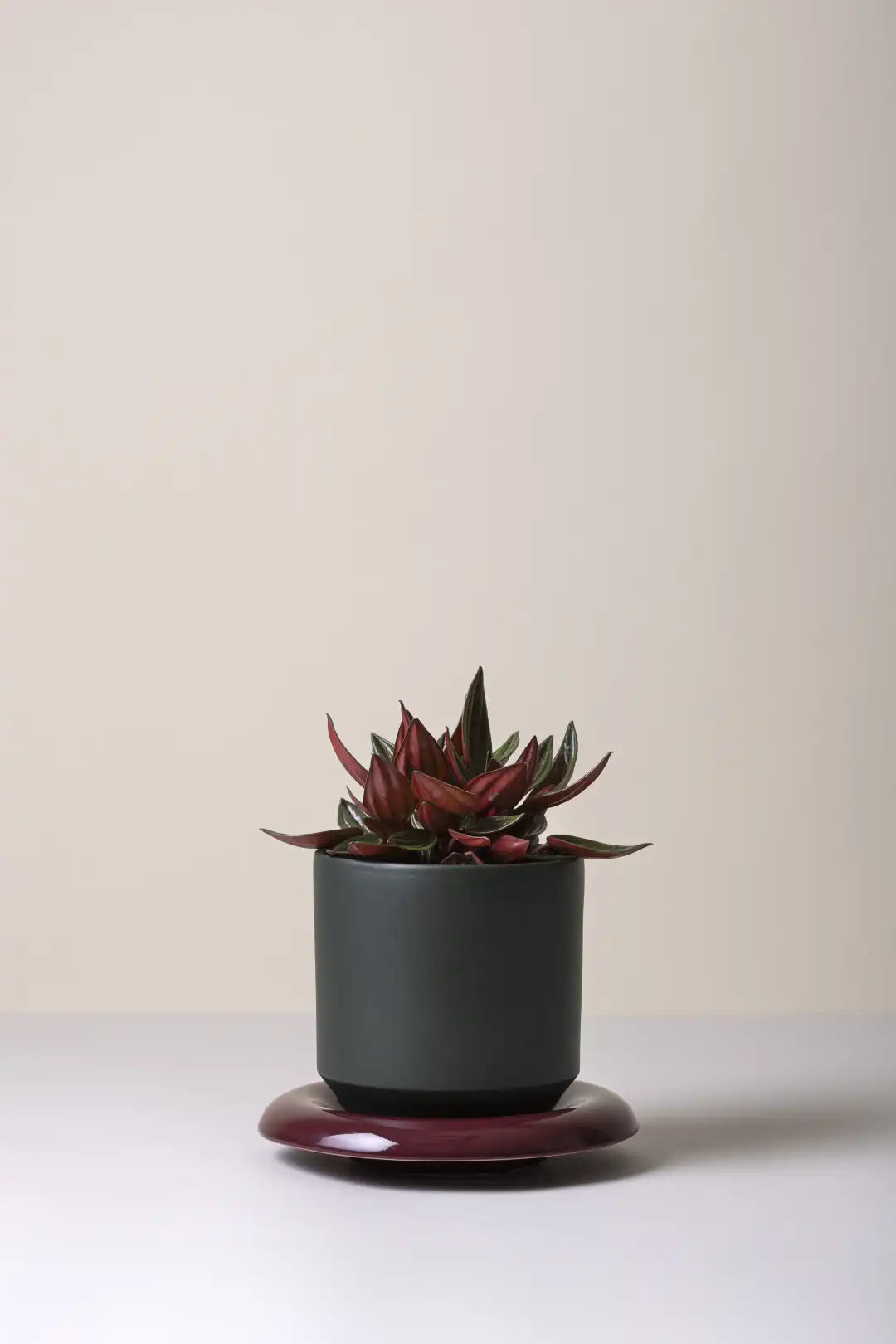 Bergs Potter Lily Glazed Pot