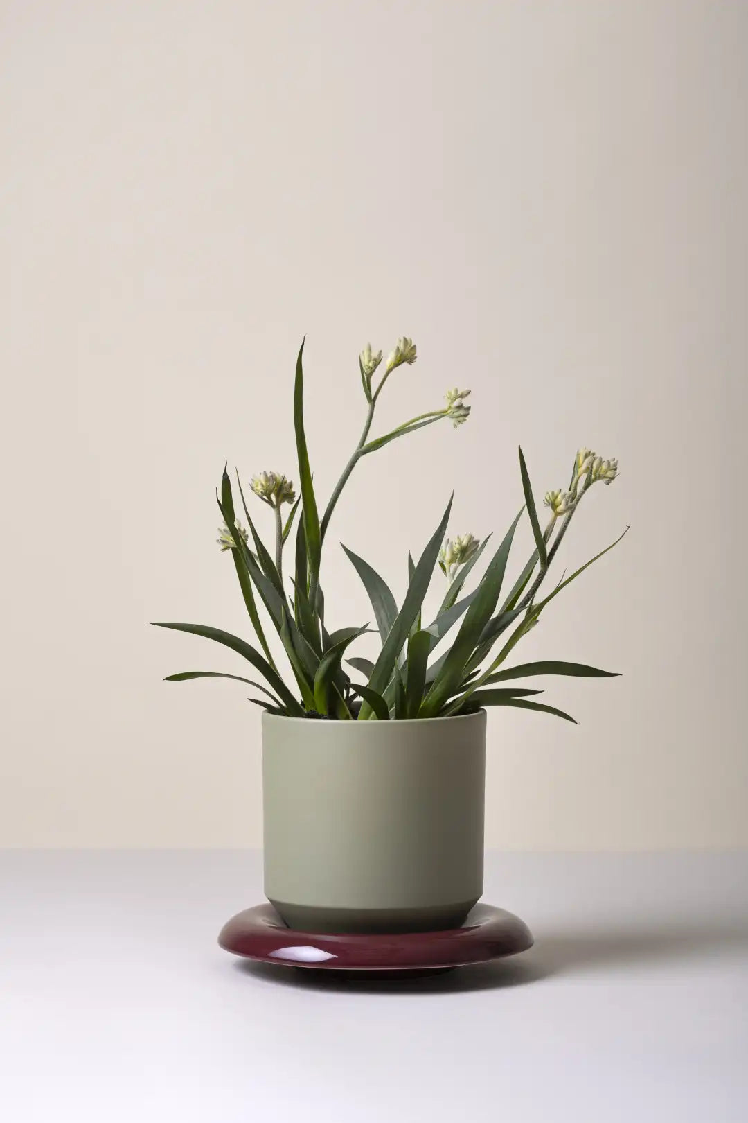 Bergs Potter Lily Glazed Pot
