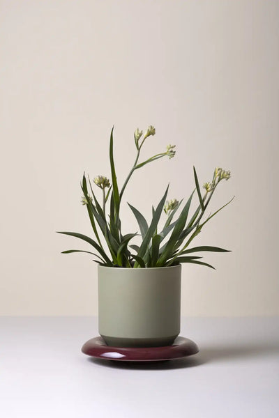 Bergs Potter Lily Glazed Pot