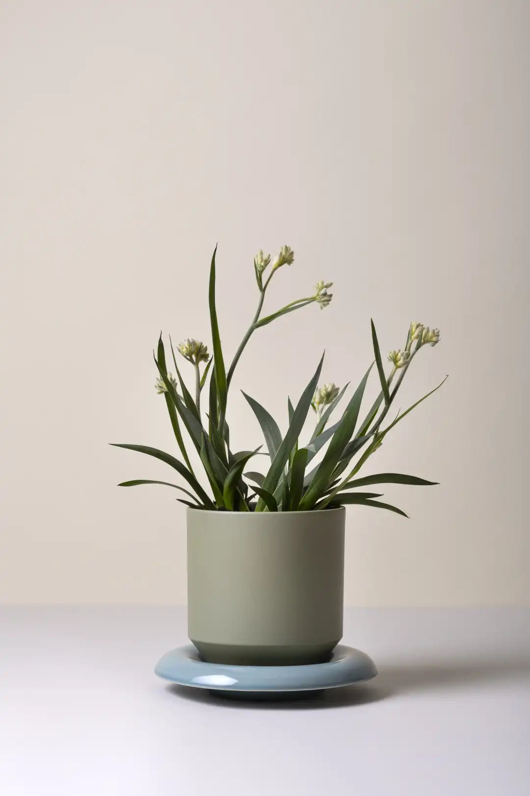 Bergs Potter Lily Glazed Pot