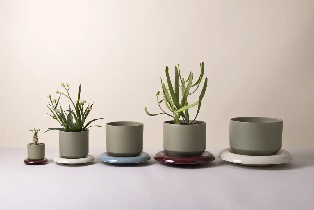 Bergs Potter Lily Glazed Pot