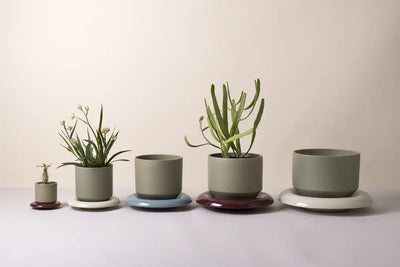 Bergs Potter Lily Glazed Pot