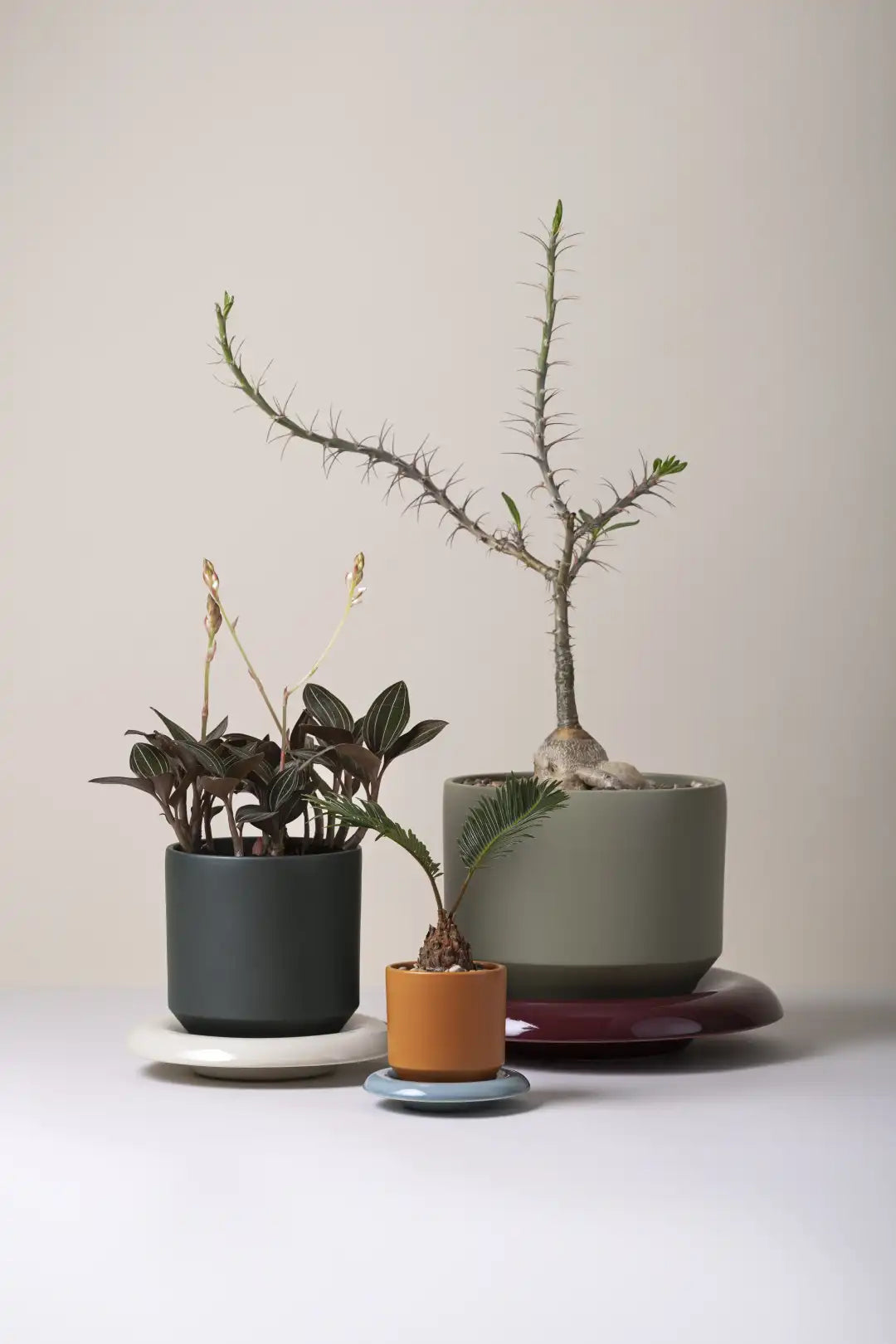 Bergs Potter Lily Glazed Pot