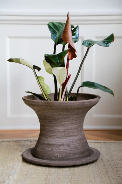 Bergs Potter Celeste Terracotta Pot
