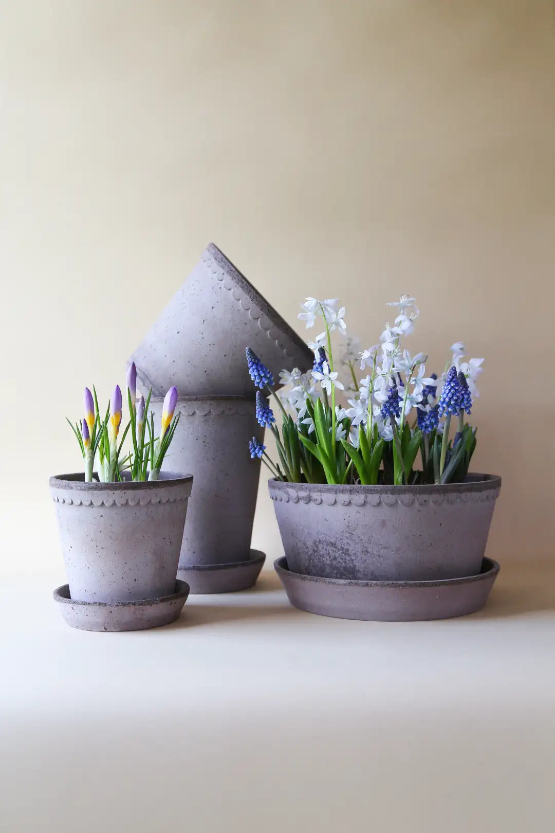 Bergs Potter Helena Terracotta Low Pot