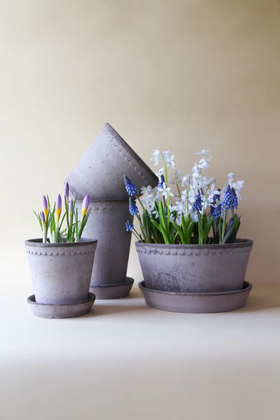 Bergs Potter Helena Terracotta Low Pot