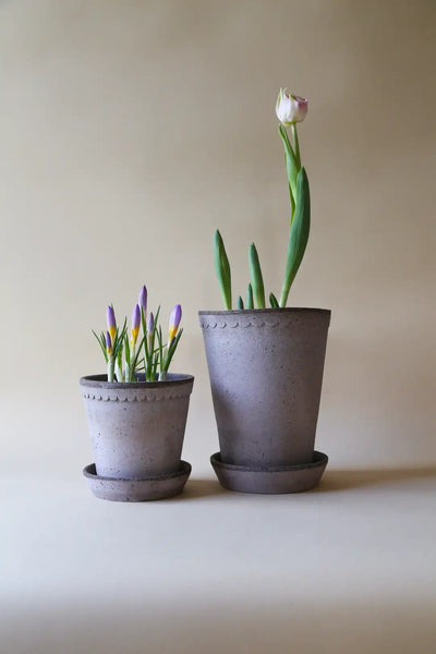 Bergs Potter Helena Terracotta Pot