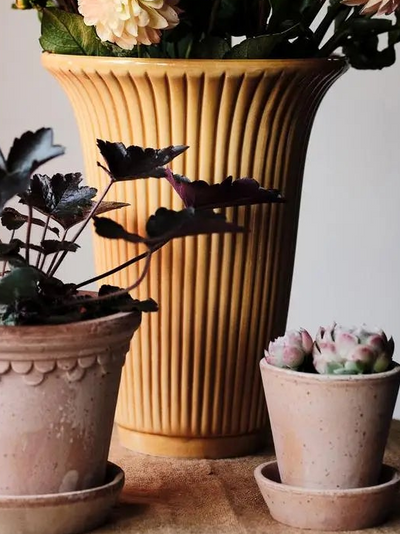 Bergs Potter Daisy Glazed Vase