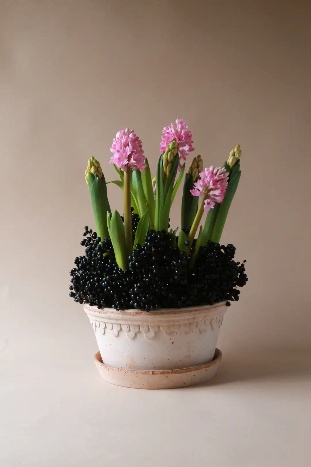 Bergs Potter Københavner Terracotta Low Pot