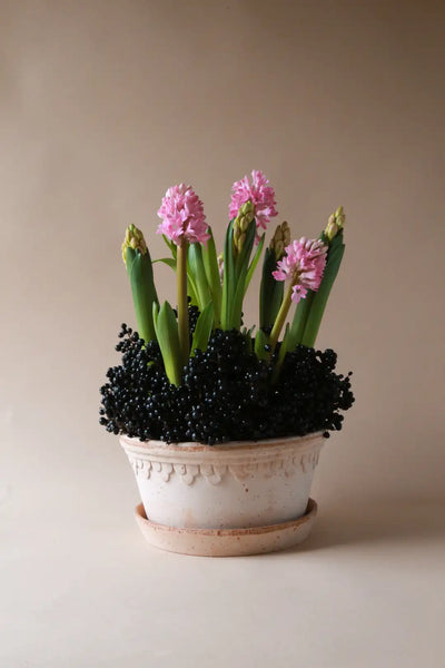 Bergs Potter Københavner Terracotta Low Pot