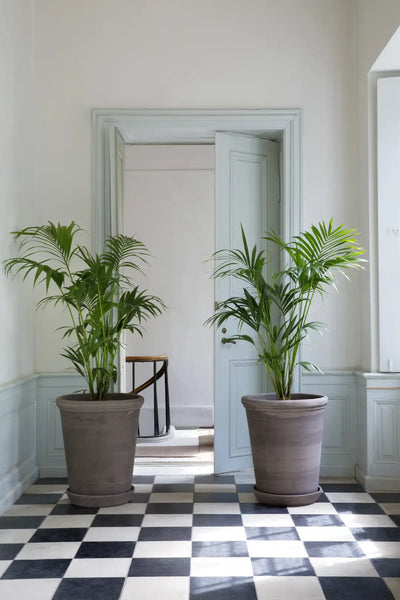 Bergs Potter Large Flora Terracotta Tall Pot