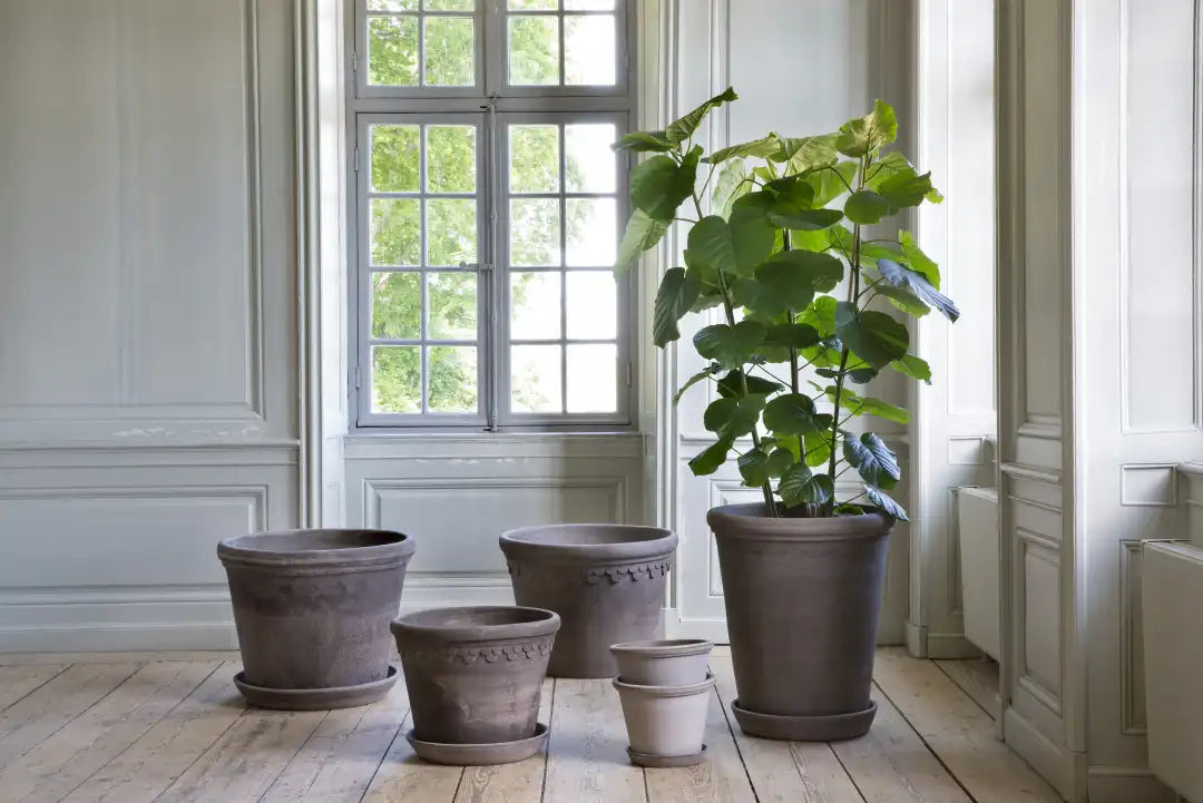 Bergs Potter Large Flora Terracotta Tall Pot