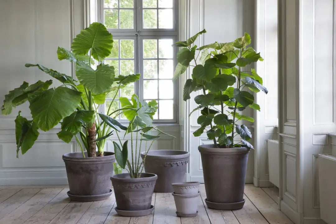 Bergs Potter Københavner Terracotta Pot