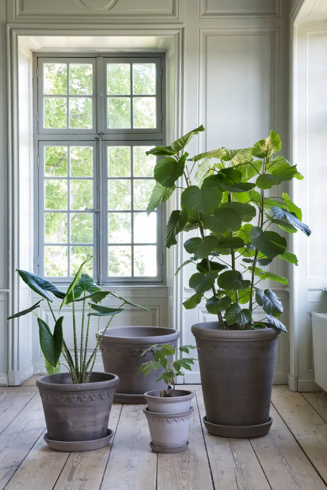 Bergs Potter Københavner Terracotta Pot