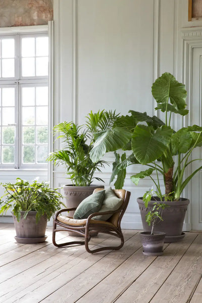 Bergs Potter Large Københavner Terracotta Pot