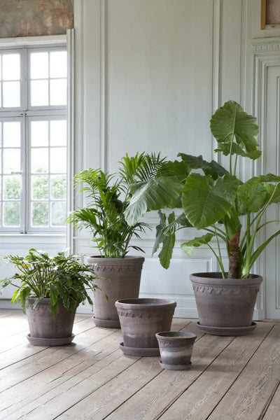 Bergs Potter Large Københavner Terracotta Pot