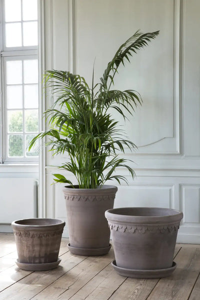 Bergs Potter Large Københavner Terracotta Tall Pot